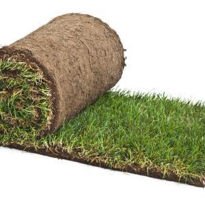 close-up-lawn-turf-roll