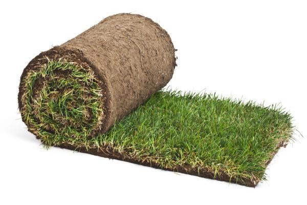 close-up-lawn-turf-roll