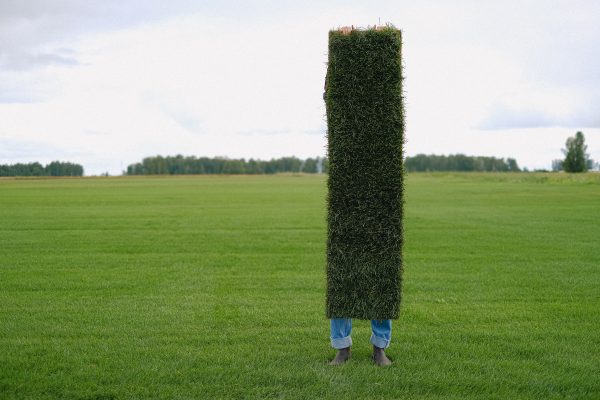 roll of lawn turf