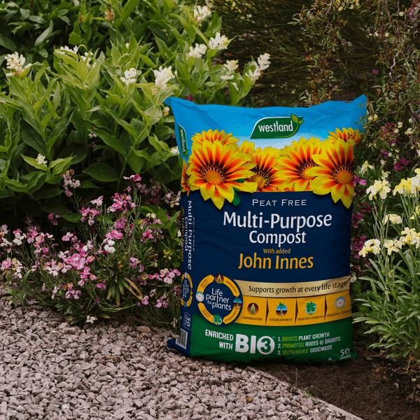 westland-peat-free-john-innes-multi-purpose-compost