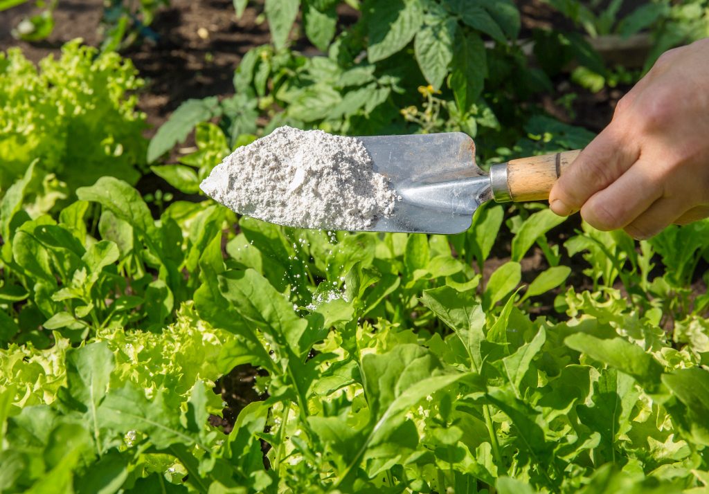 natural pest control