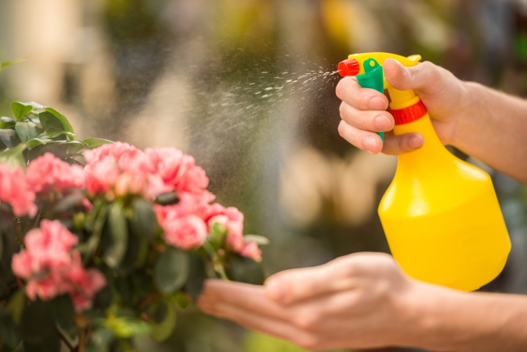 chemical pest control