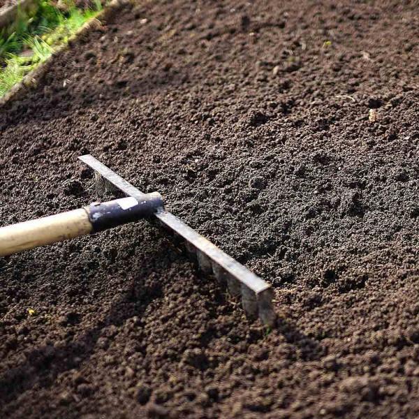 raking-best-topsoil