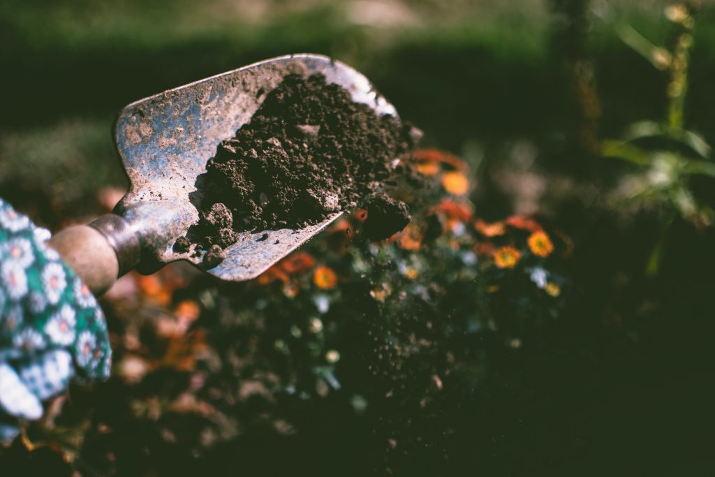 shoveling top soil