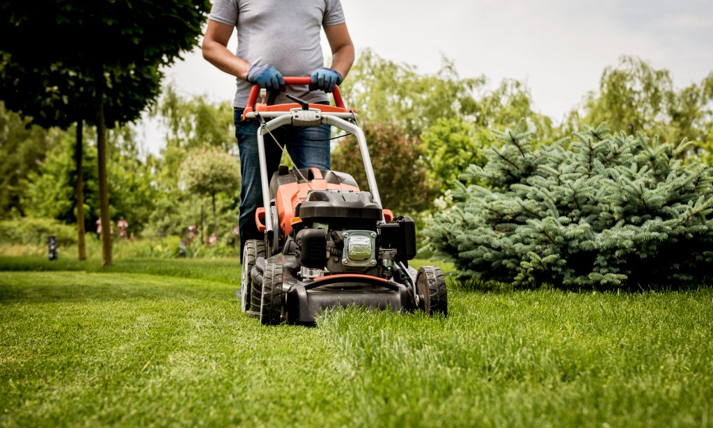 cutting grass