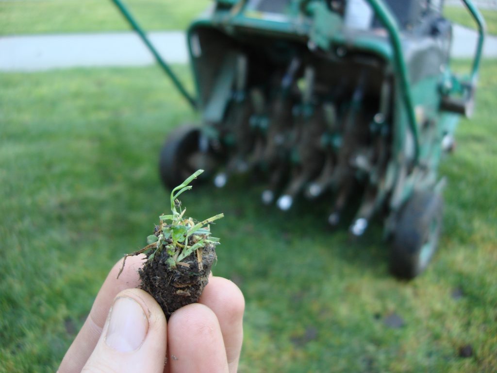 Hollow-Tine Aerator