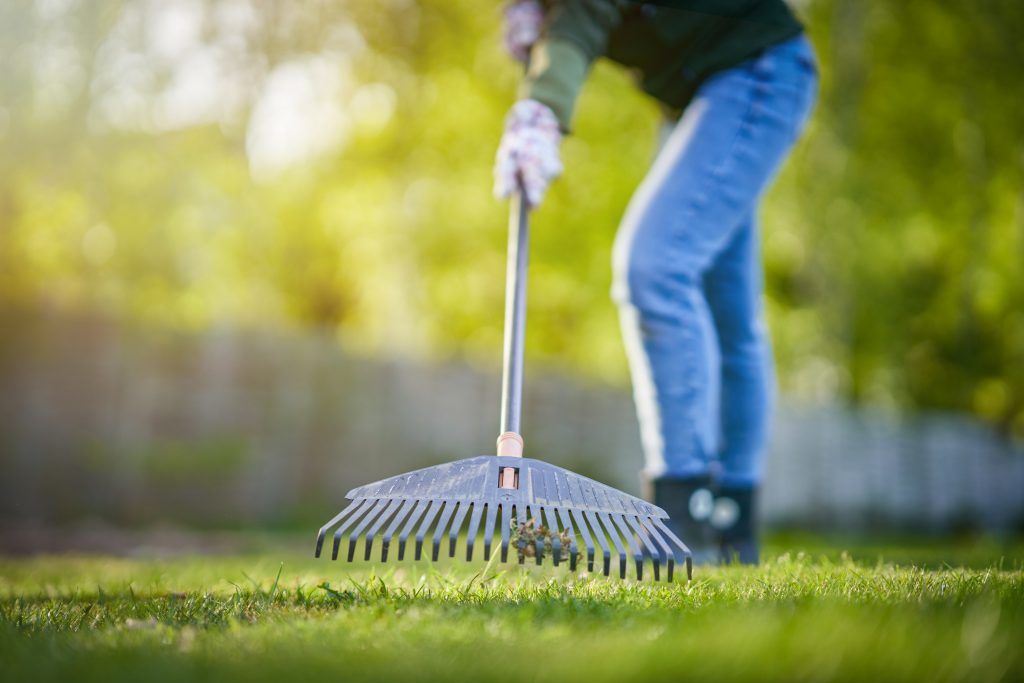 raking lawn