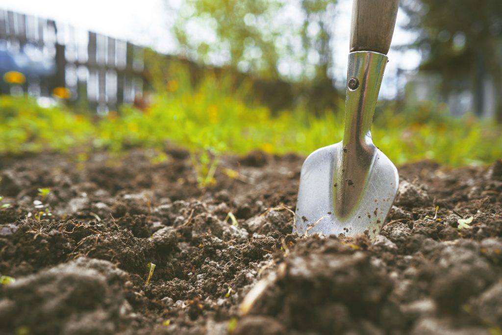 fertile-soil-condition