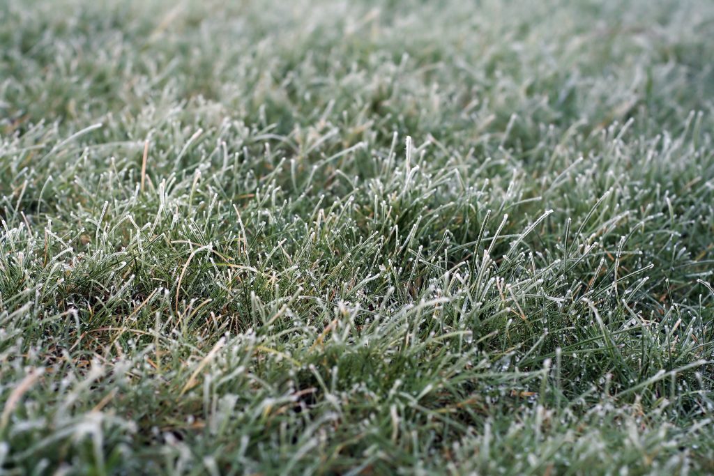frozen-winter-turf