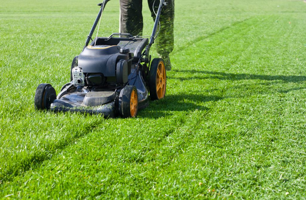 mowing-garden-lawn-care