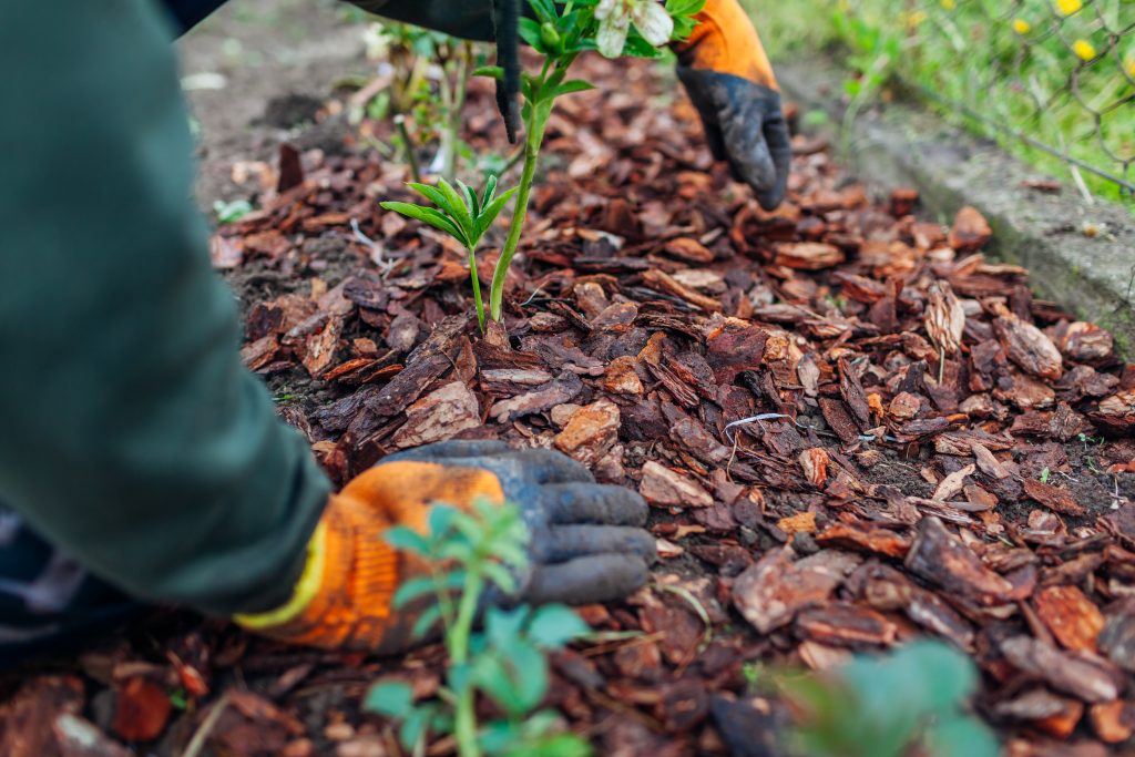 mulching-garden-landscape-bark