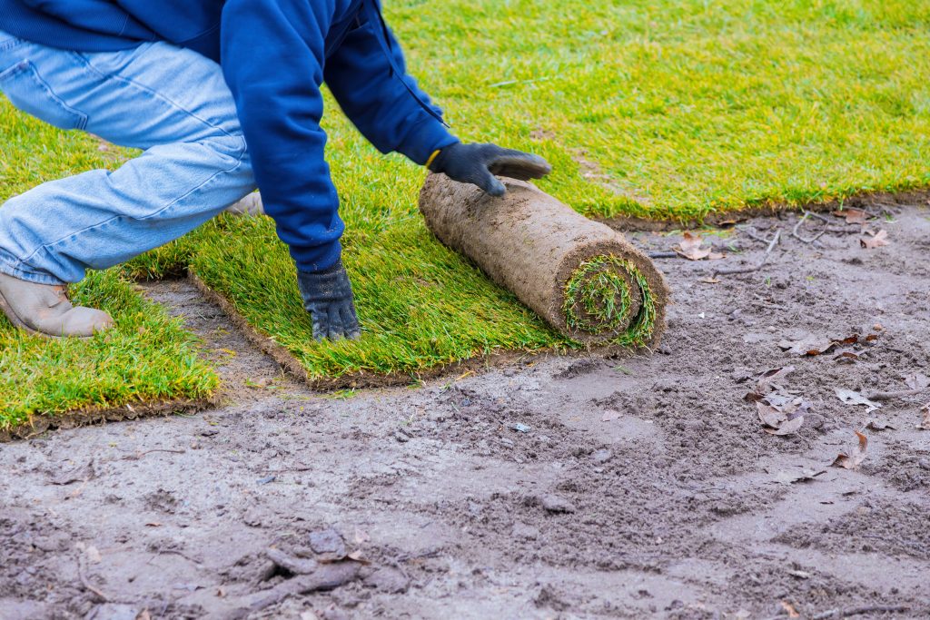 laying-turf-in-spring