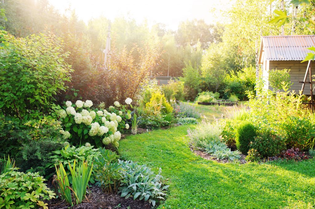 sunny-garden