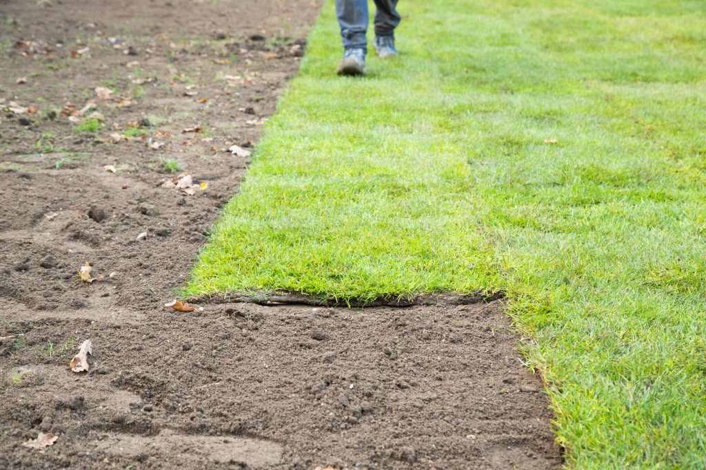 walking-on-new-turf