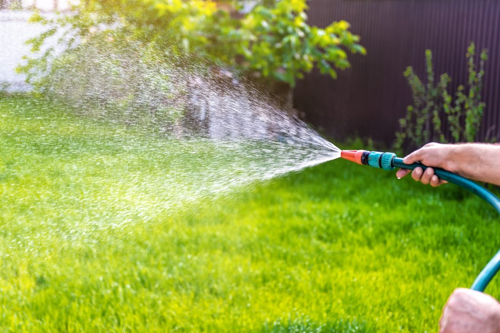 watering-turf-in-summer